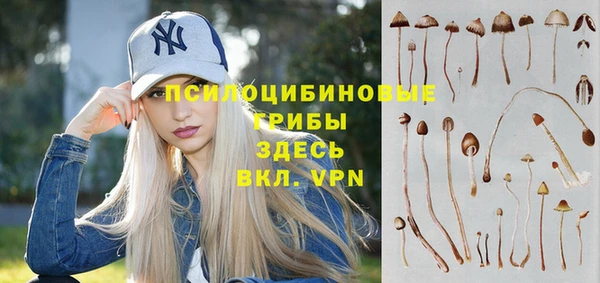 винт Балахна