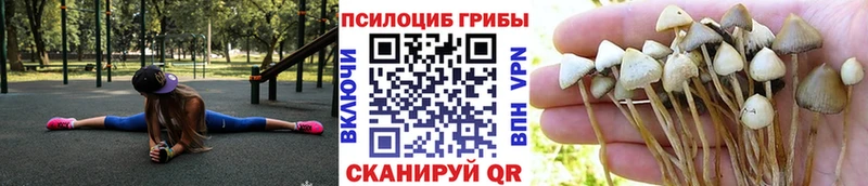 Псилоцибиновые грибы GOLDEN TEACHER  Белореченск 
